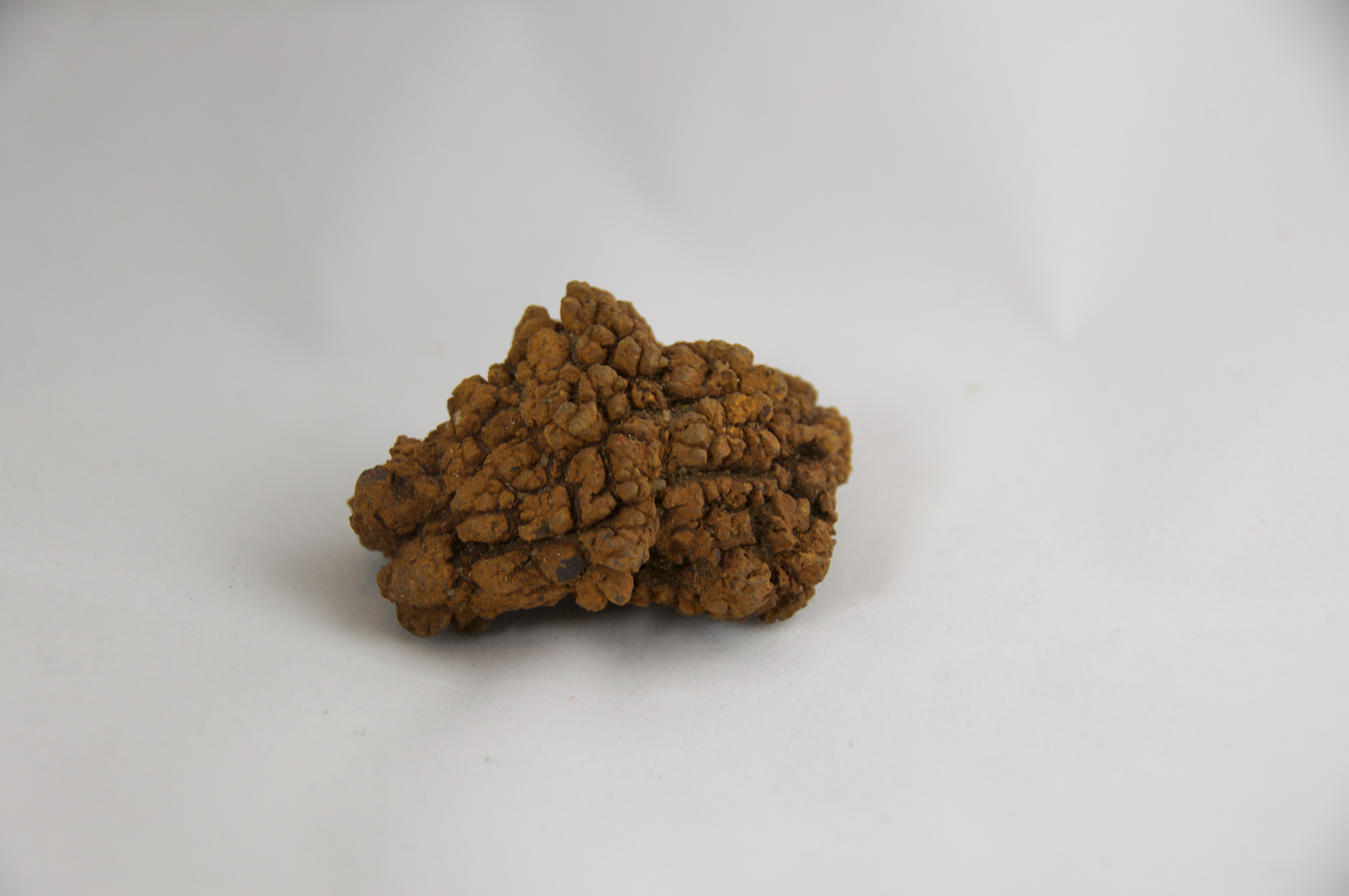 coprolite price