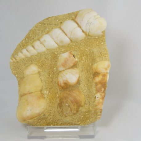 turitellafs90mmx80mm30